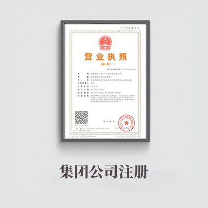 集团公司注册