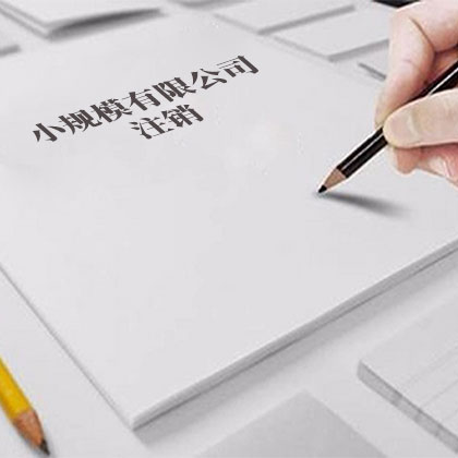 小规模有限公司注销